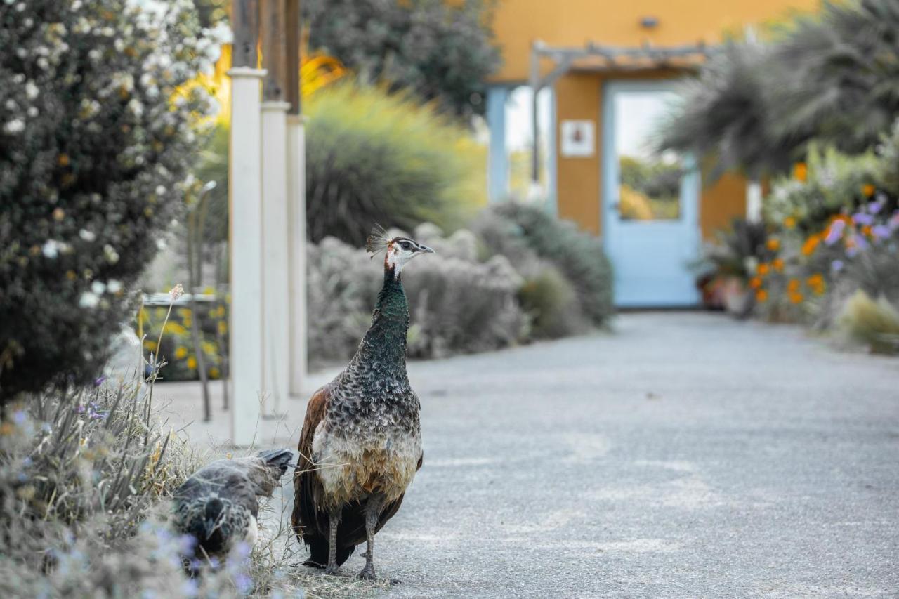 Aquae Sinis Albergo Diffuso Cabras Exterior photo